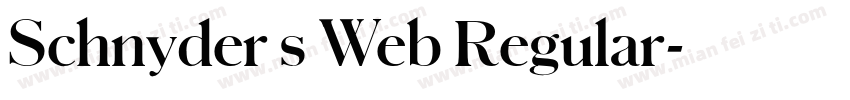 Schnyder s Web Regular字体转换